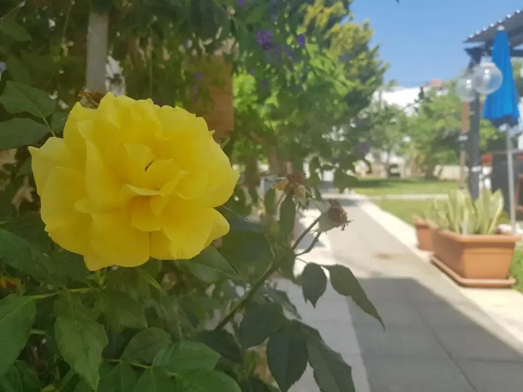 2 bedroom ground floor apt, 5 minutes walk from the beach