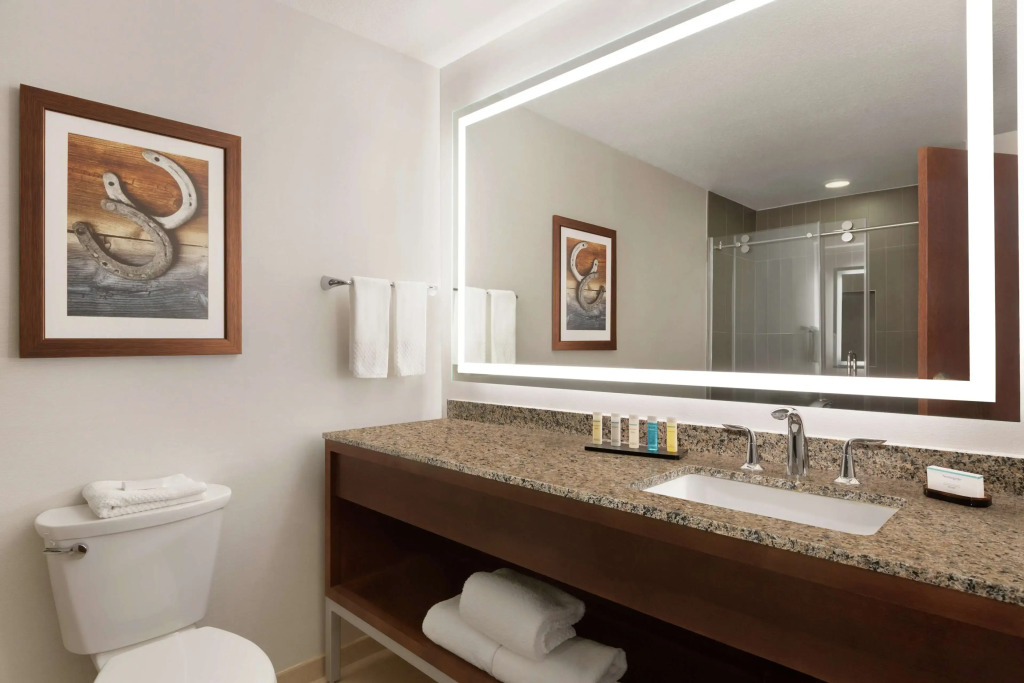 Embassy Suites Dallas - DFW Airport North