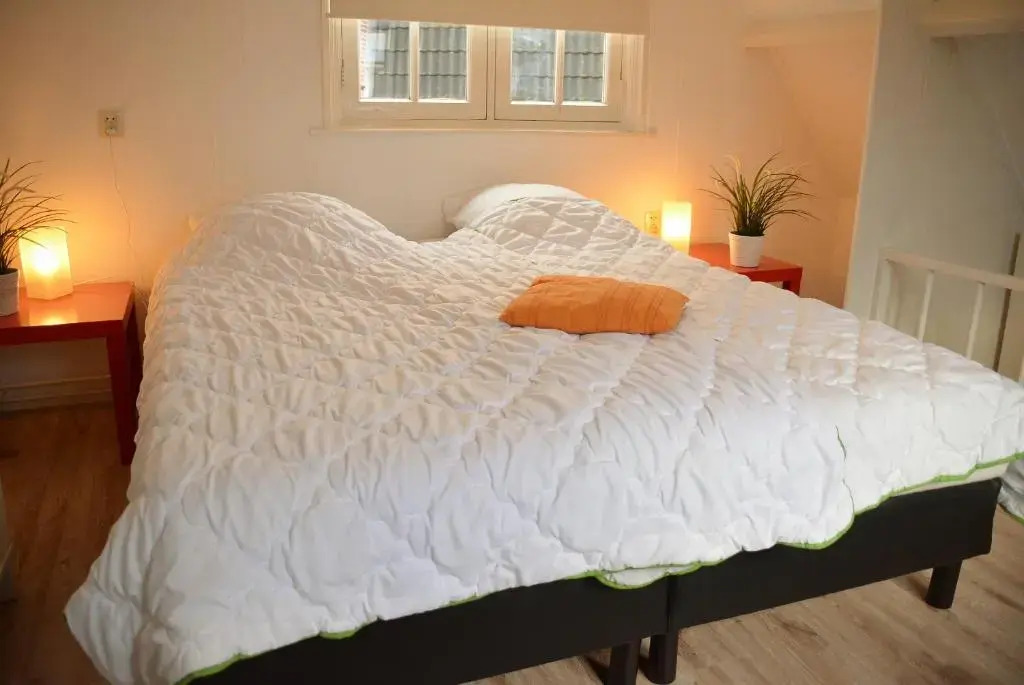 DBR69 Cozy Holiday home in Domburg, only 50 m to the beach