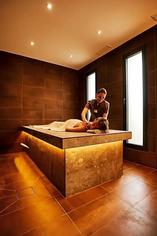 Hôtel & Spa Version Maquis Citadelle