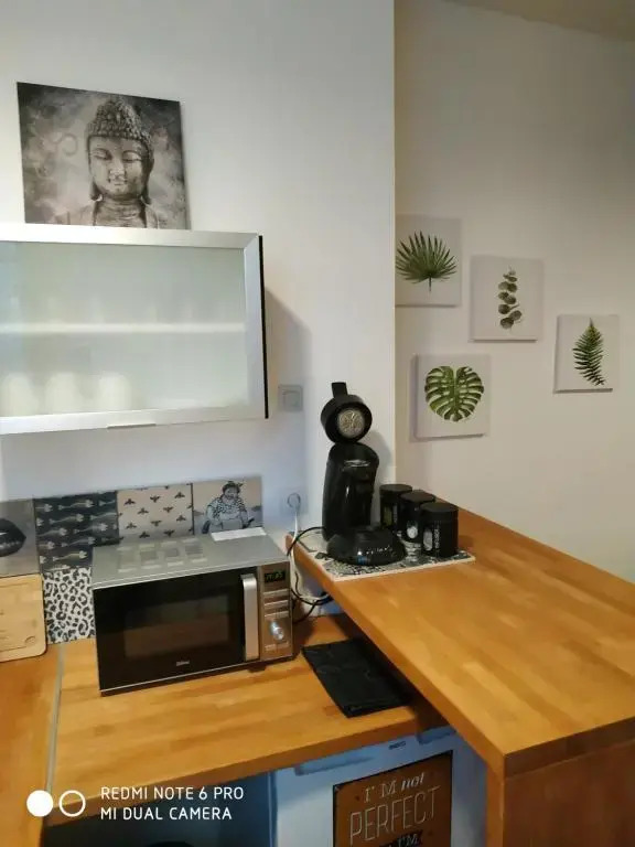 Appartement St remy