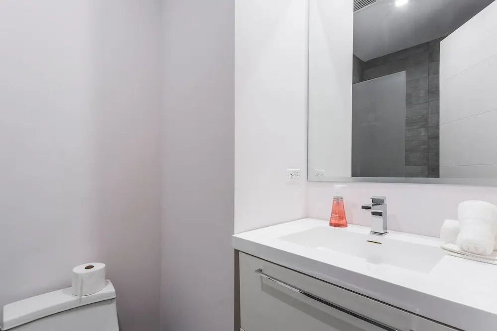 3 BDR Downtown Luxury Loft-spacious, Safe & Secure
