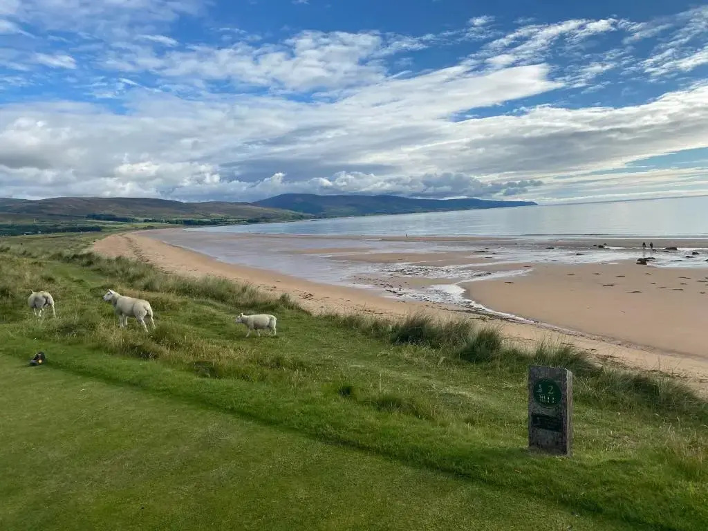 No. 10 The Links