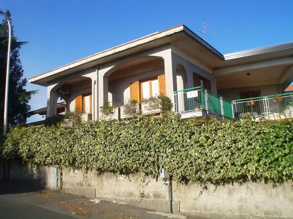 Il Vigneto