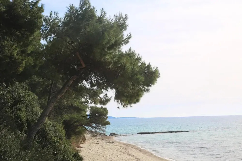 Romaric Mt. Garden House, Siviri
