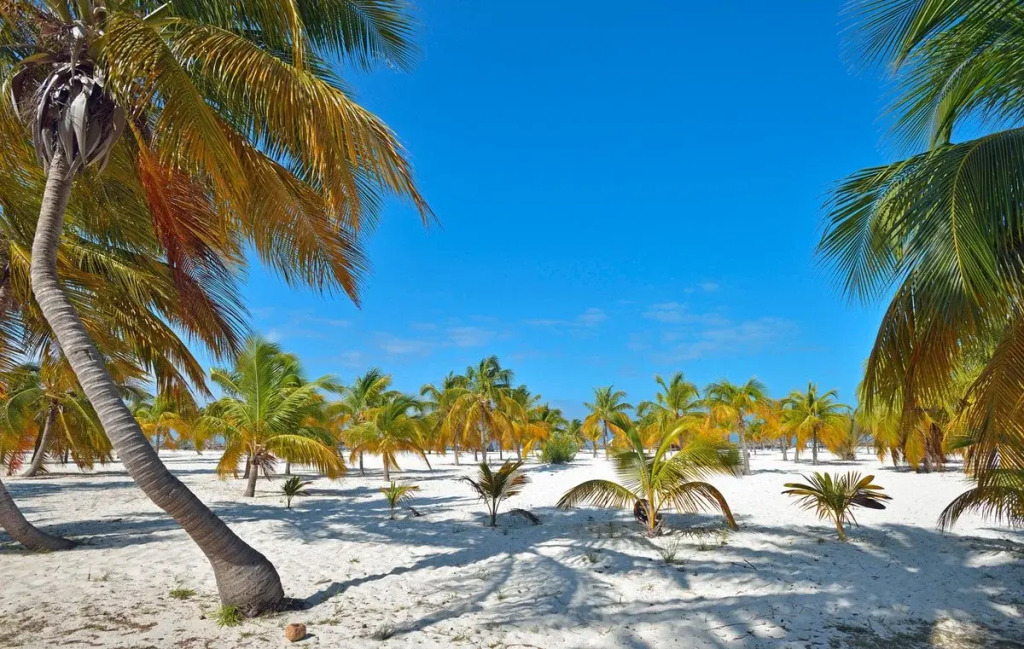 Memories Cayo Largo