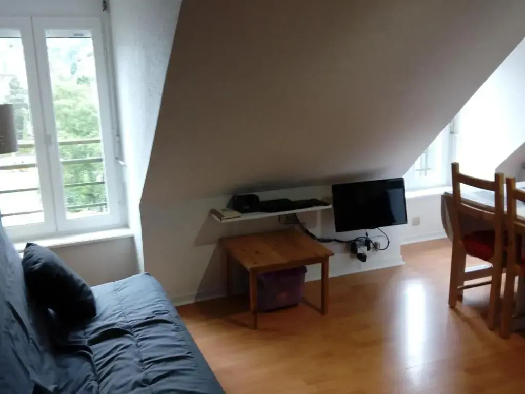 Appartement Mont-Dore, 2 pièces, 4 personnes - FR-1-415-63