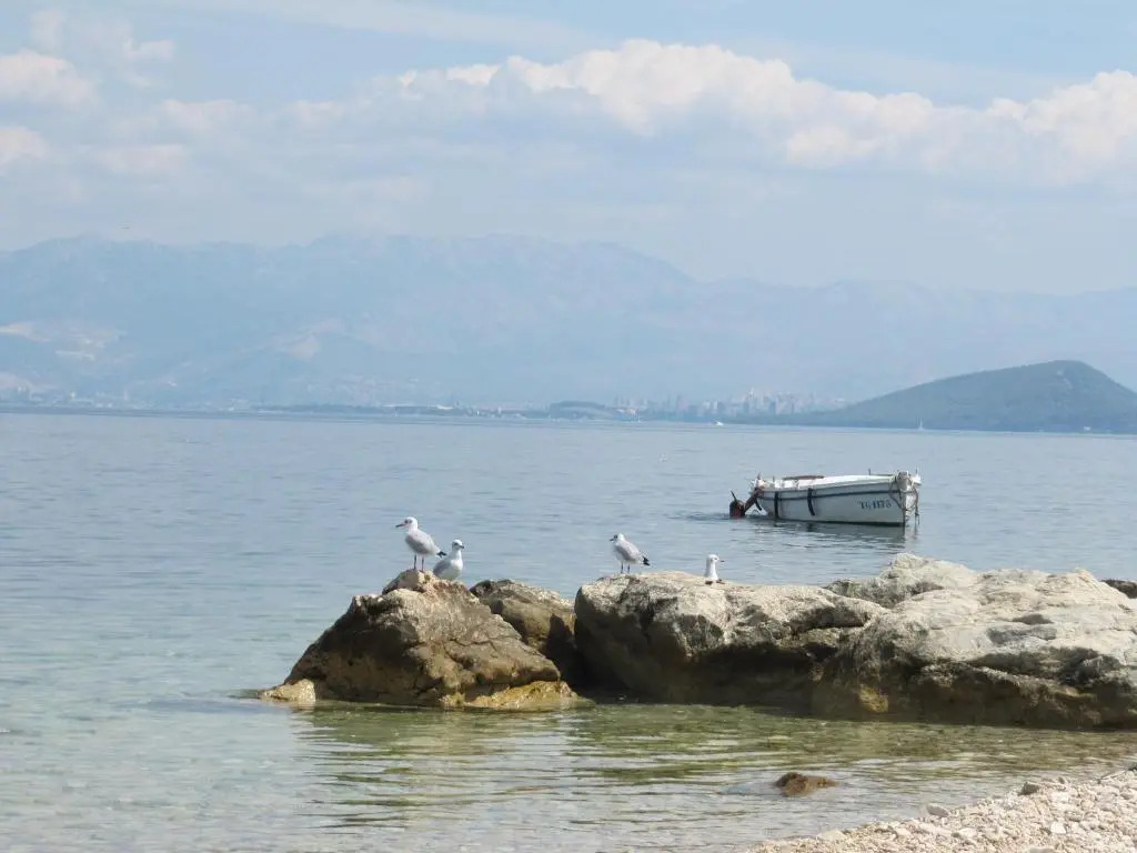 Apartman Antea