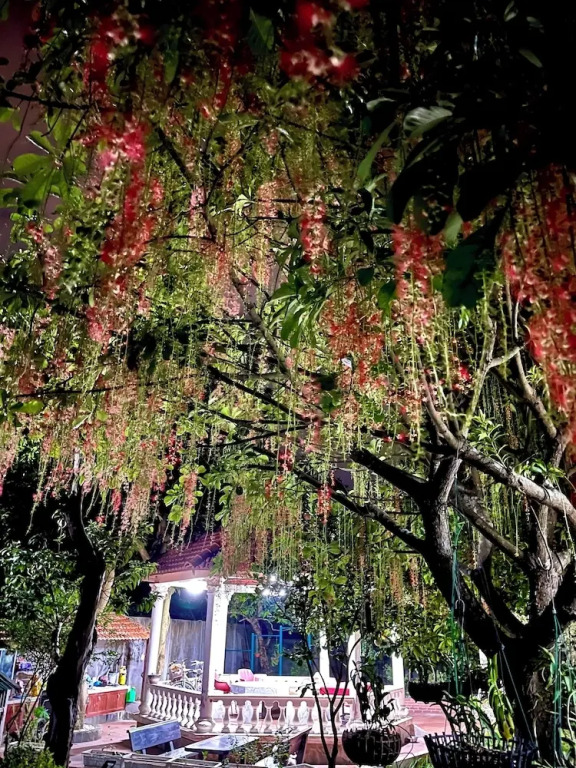Jadore Garden House Vinh Yen