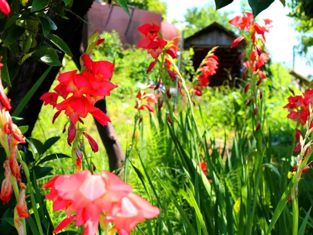 Guesthouse on Lakoba 3