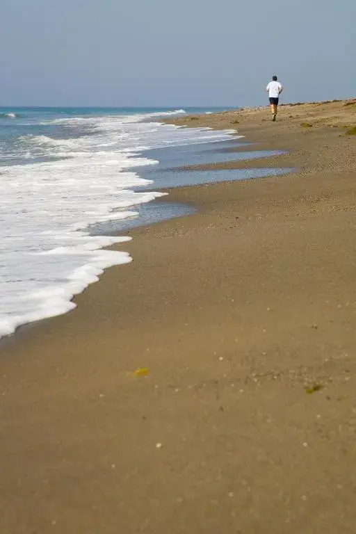 Apt 321 Heaven Beach Apartments Guadalmansa Playa