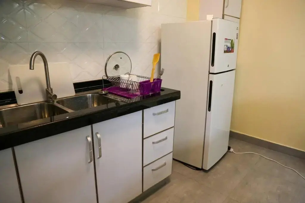 Spacious 3 BDR furnished Apt near junction mall