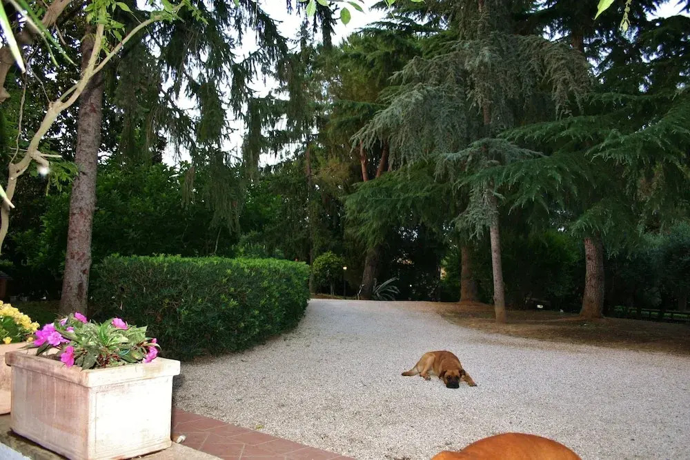 Green Oasis B&B