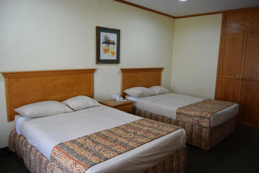 Hotel Sicomoro