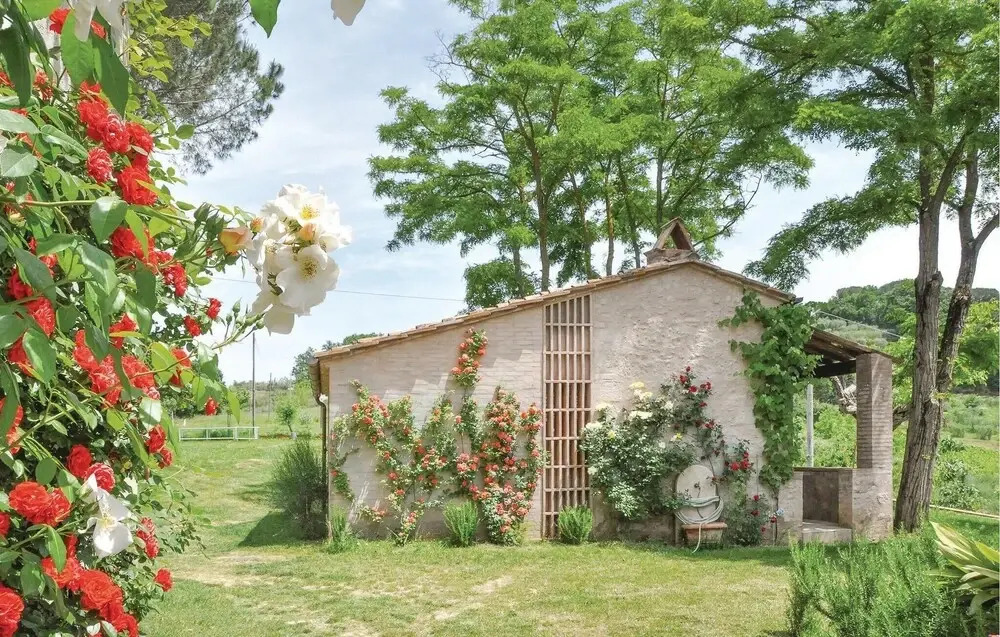 Sanlucchese 4