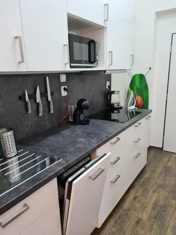 Světlý prostorný byt v Karlíně