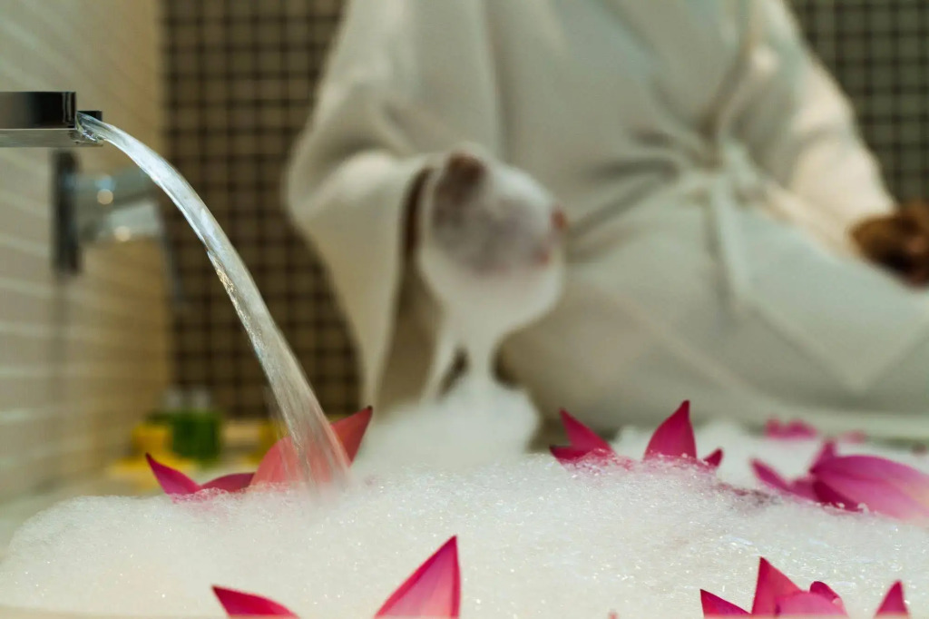 Hotel Somadevi Angkor Boutique and Resort