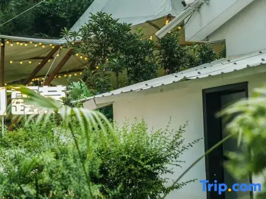 What kind of lemon pool homestay in Changsha