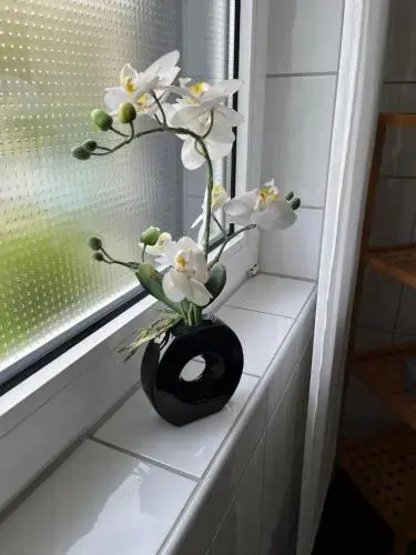 Ferienwohnung Versteeg