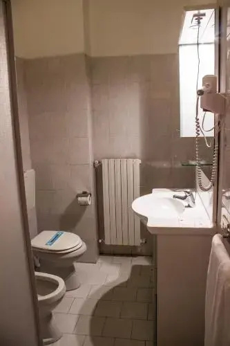 Hotel Salus