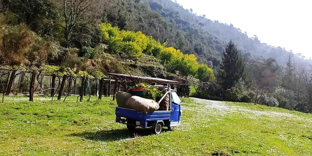 Agricamping Ponteraggio n.1