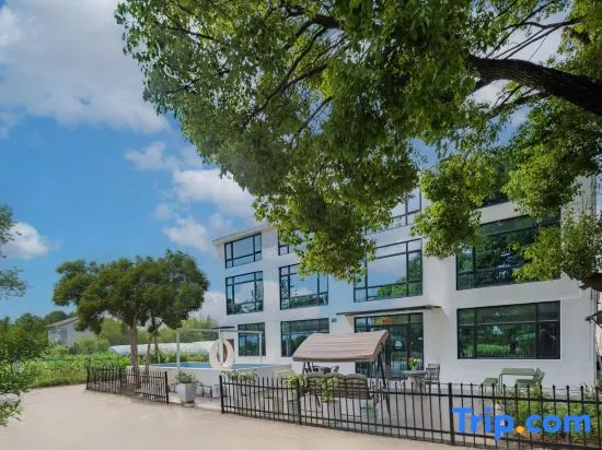 Shanghai Daju Homestay