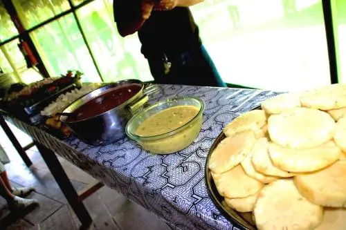 Amazon Eco Tours & Lodge