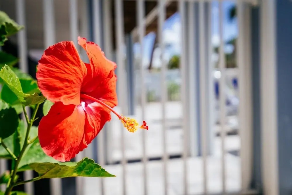 Welcome To Ostego Beach Vacation Rental - 253 Ostego 4 Bedroom Home by RedAwning
