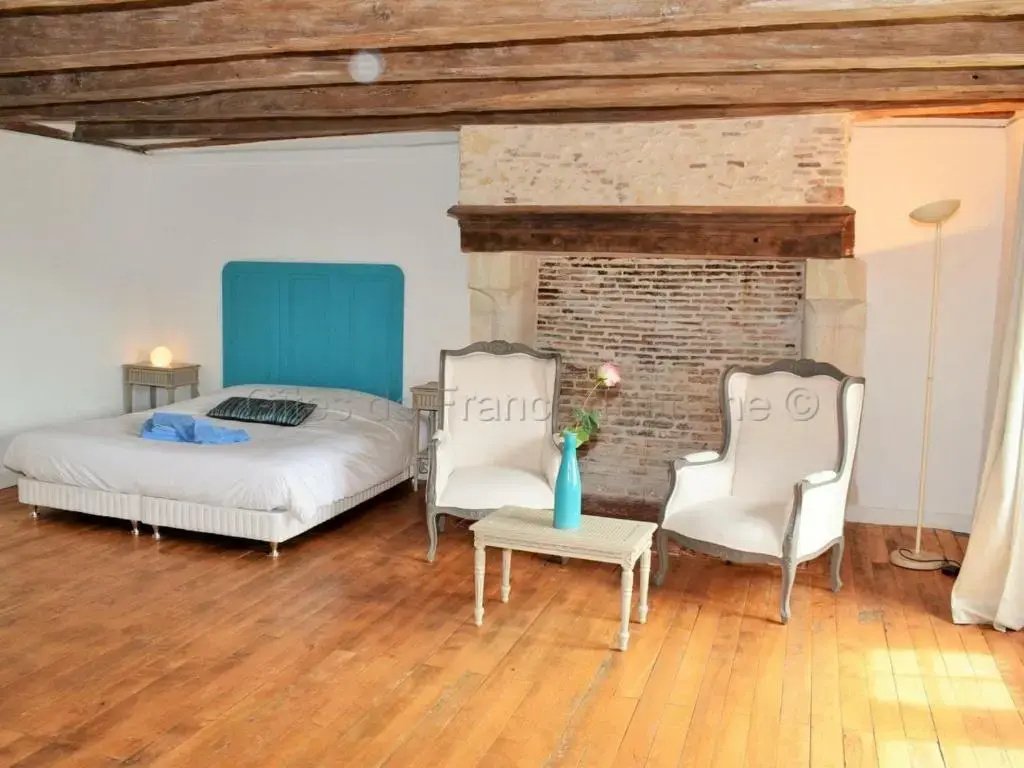 Élégante Demeure 17e avec Spa, Sauna et Authentique Cheminée, proche Châteaux de la Loire - FR-1-381-348