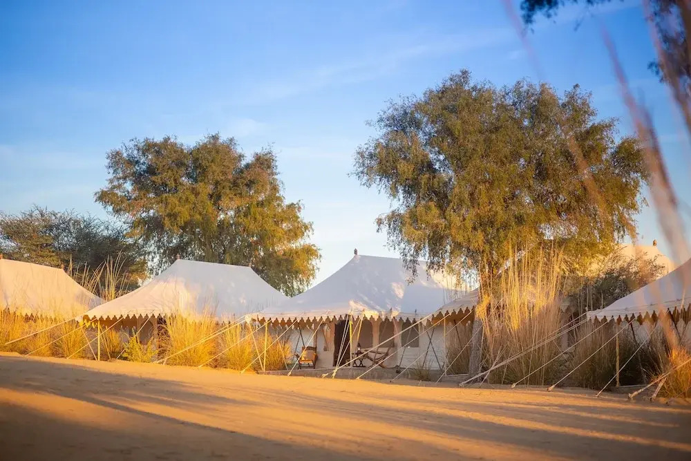 Manvār Sevan, The Desert Camp