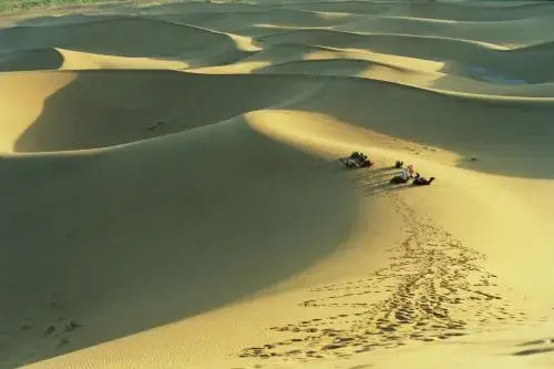 Bivouac Maroc Désert Zagora