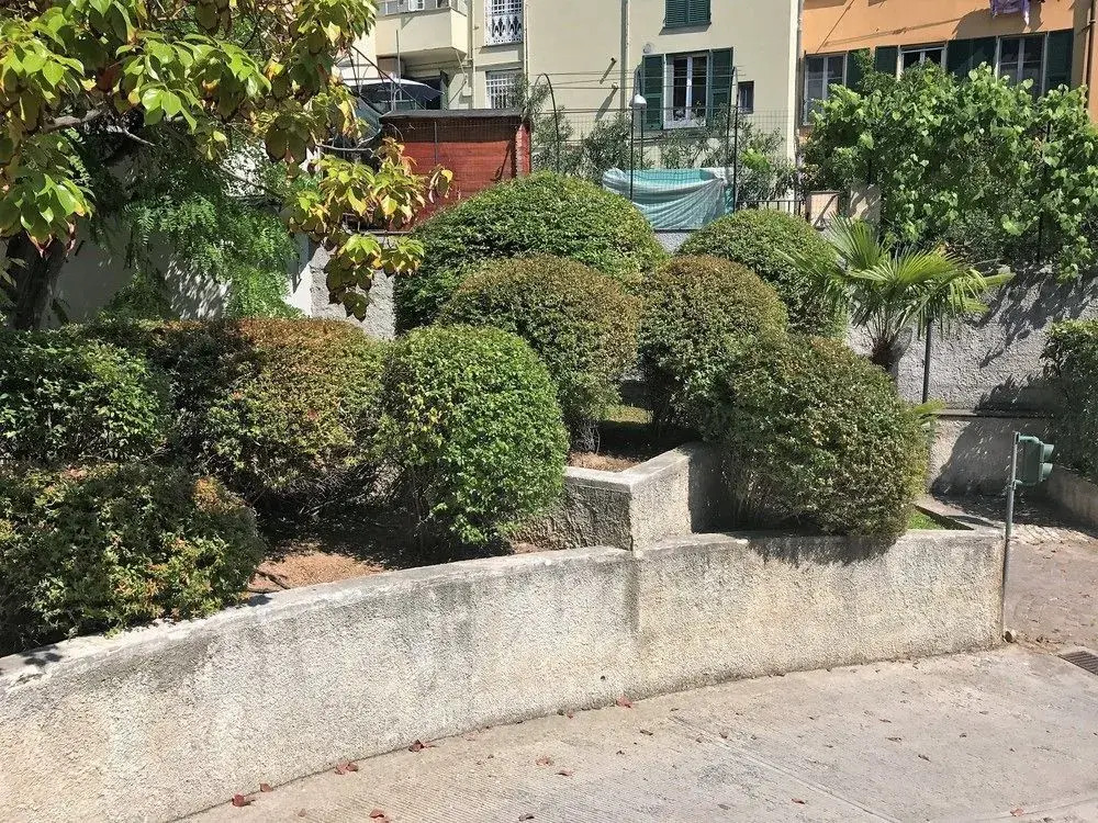 San Vincenzo Apartment