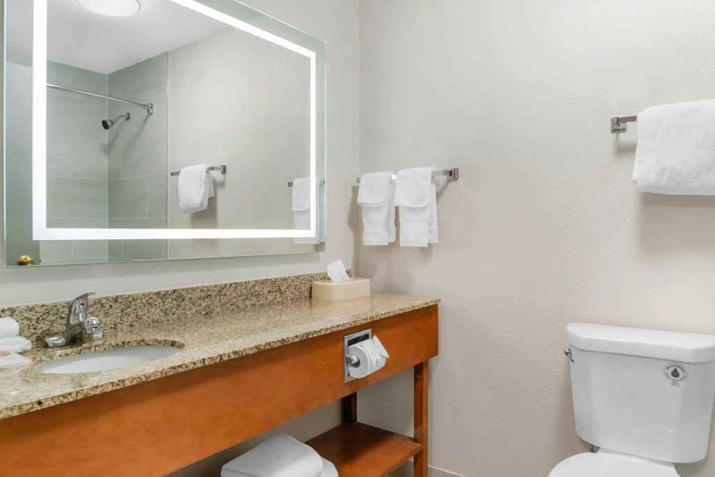 Comfort Suites Auburn Hills-Detroit