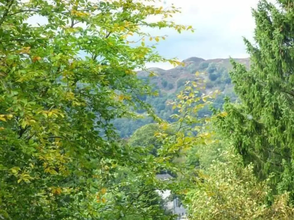 Loughrigg View