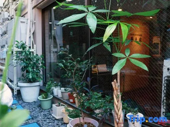 Hananoie by SunRiseStay | 10 min to Ikebukuro | 2 min Walk to Station | Great Value | Elevator