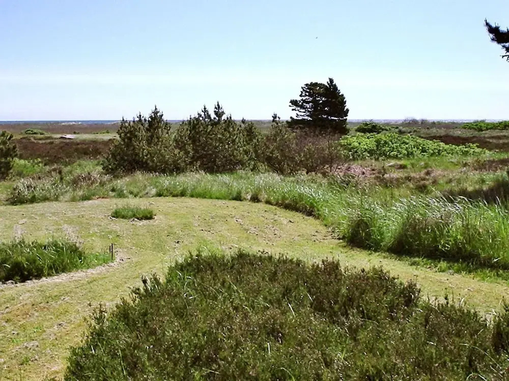 Beautiful Holiday Home in Hals Near Sea