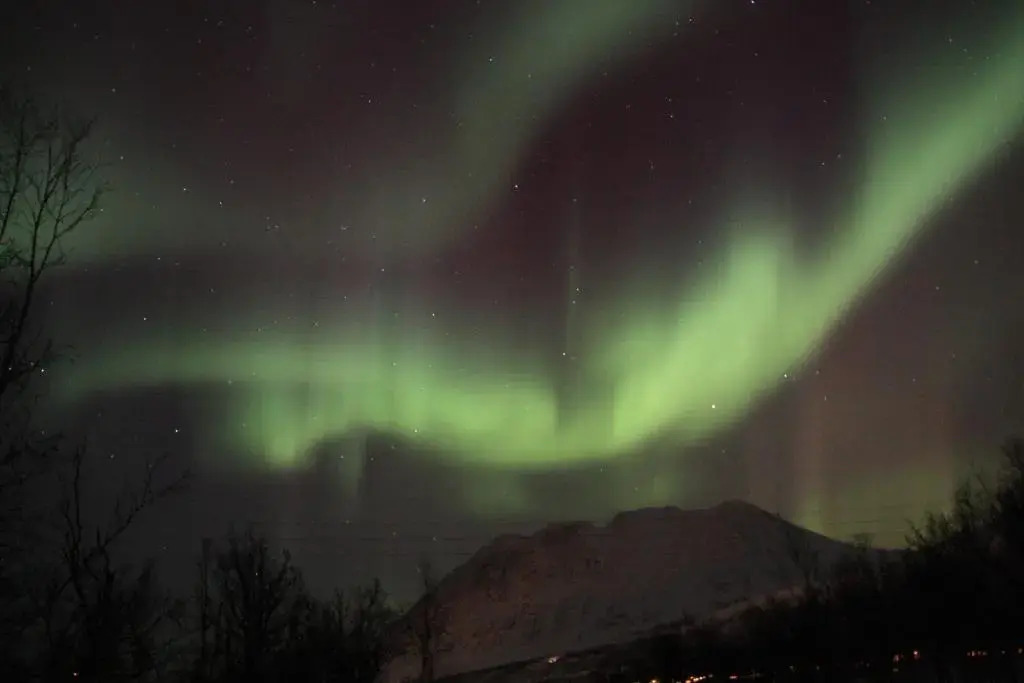 XLyngen