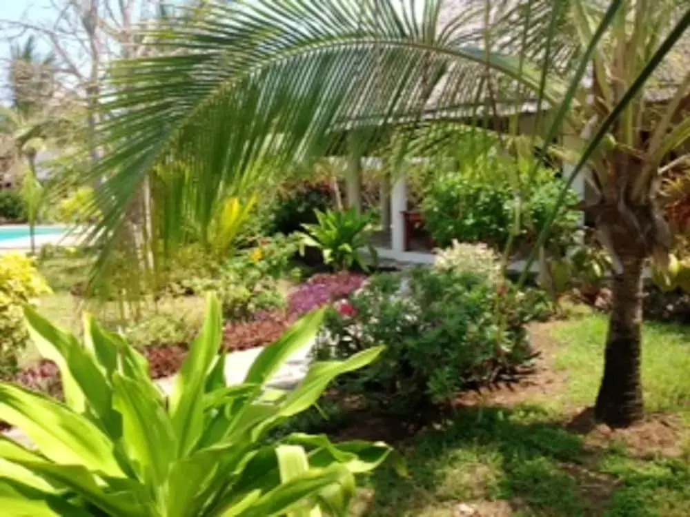 House With 3 Bedrooms in Watamu, With Pool Access, Furnished Terrace a