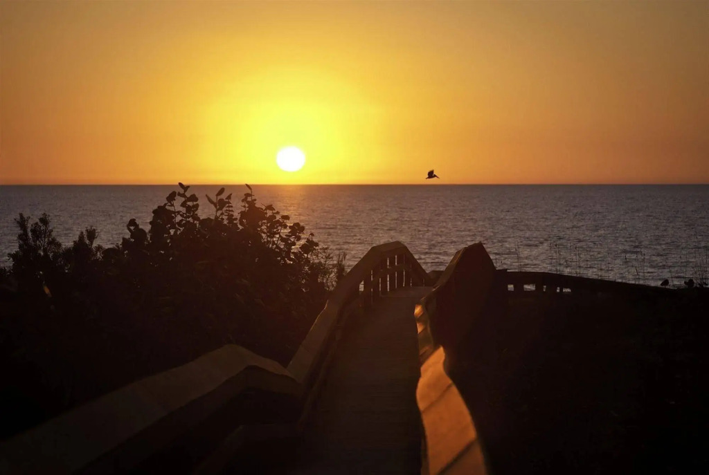 Hilton Grand Vacations Club Regency