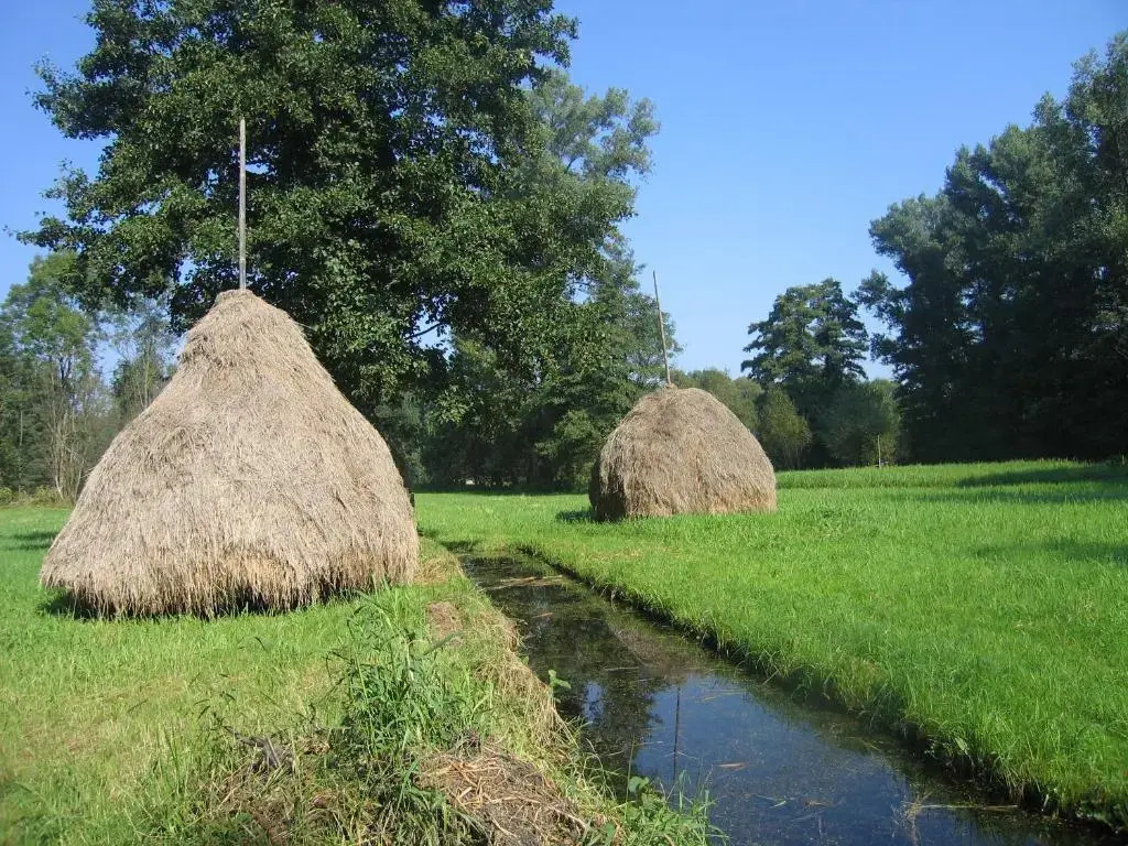 Spreewald Pension Tannenwinkel