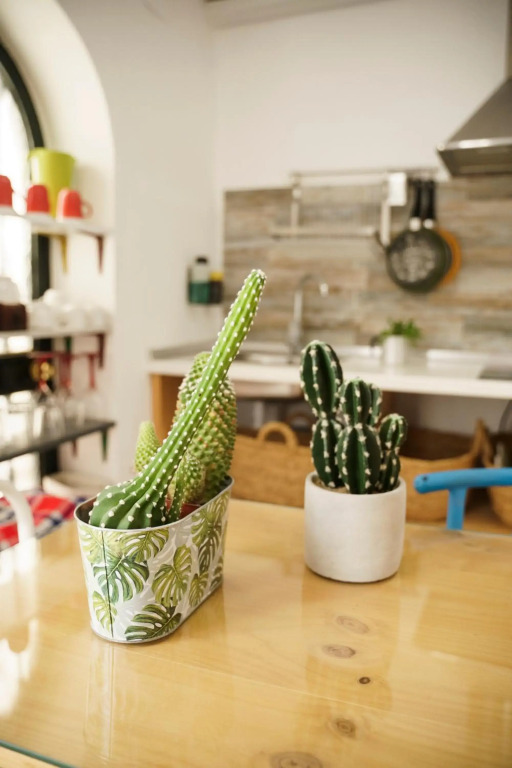 Casa singular y con encanto