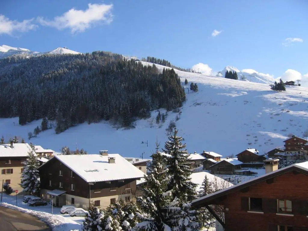 Charmant 2 pièces avec cheminée, près des pistes, garage inclus - FR-1-304-85