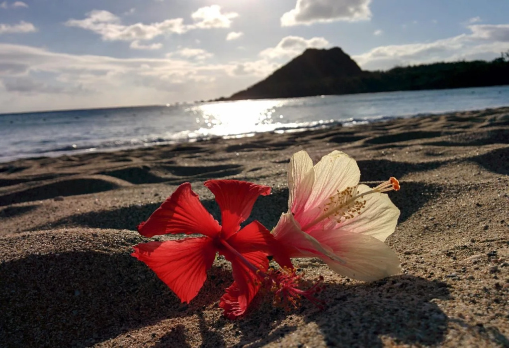 Howard Beach Resort Kenting