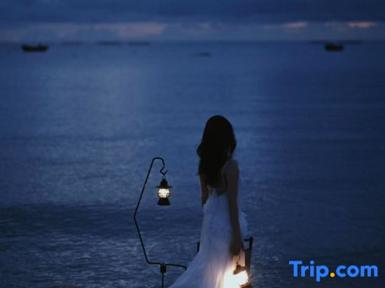 Moon Tower · Dreamy | Silent Stream · Oxygen Supply Lakeview Smart Boutique Stay