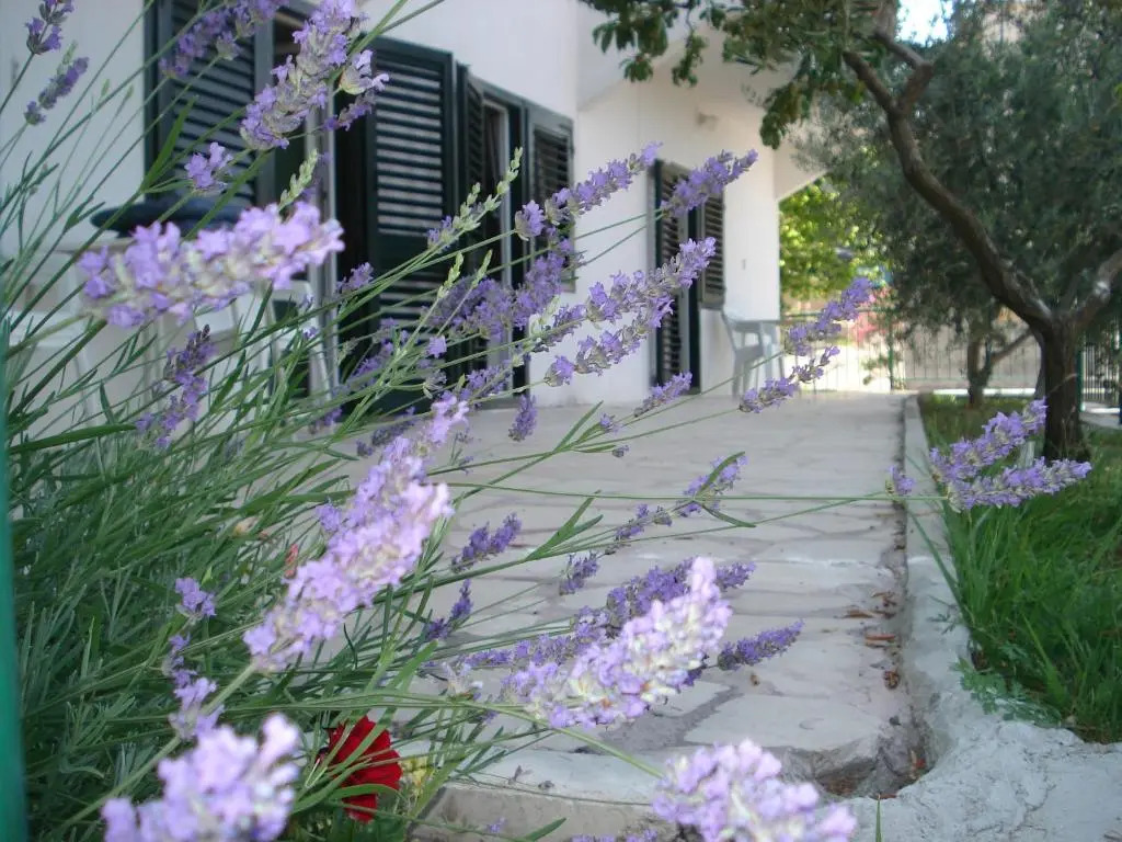 Apartments Smiljana