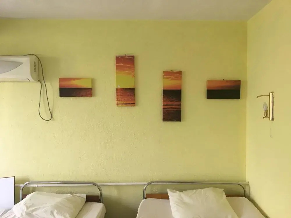 Hair of the Dog Hostel