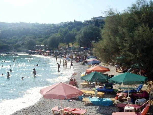 Cleomenis