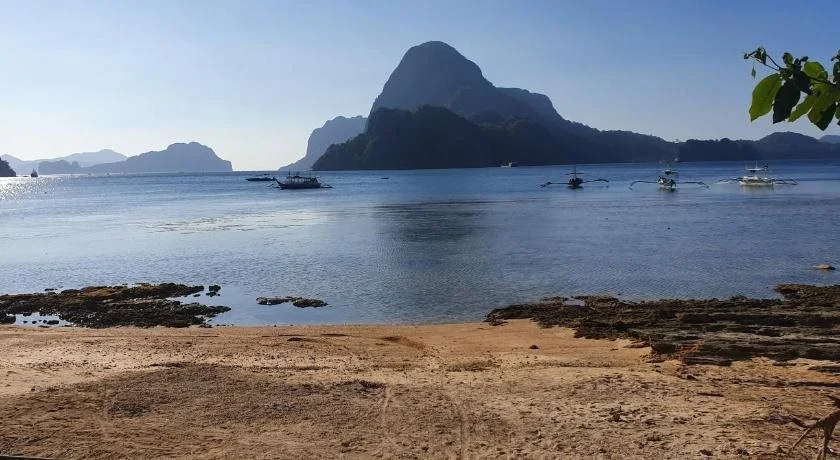 El Nido Dragonfly