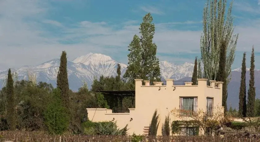 CONALBI GRINBERG Casa Vinicola