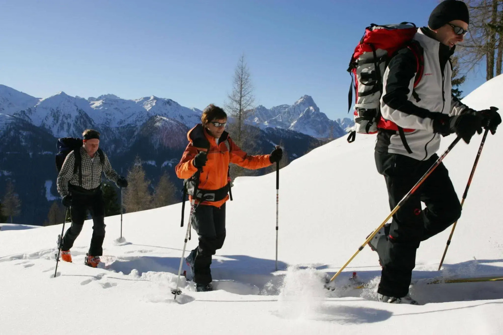 Grandhotel Lienz Business-Wellness & Gourmet